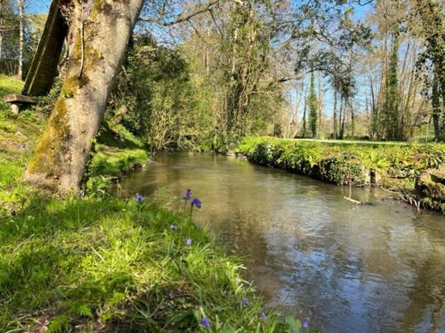 Bed and Breakfast Le Moulin De La Castellerie Moon-sur-Elle Exterior foto