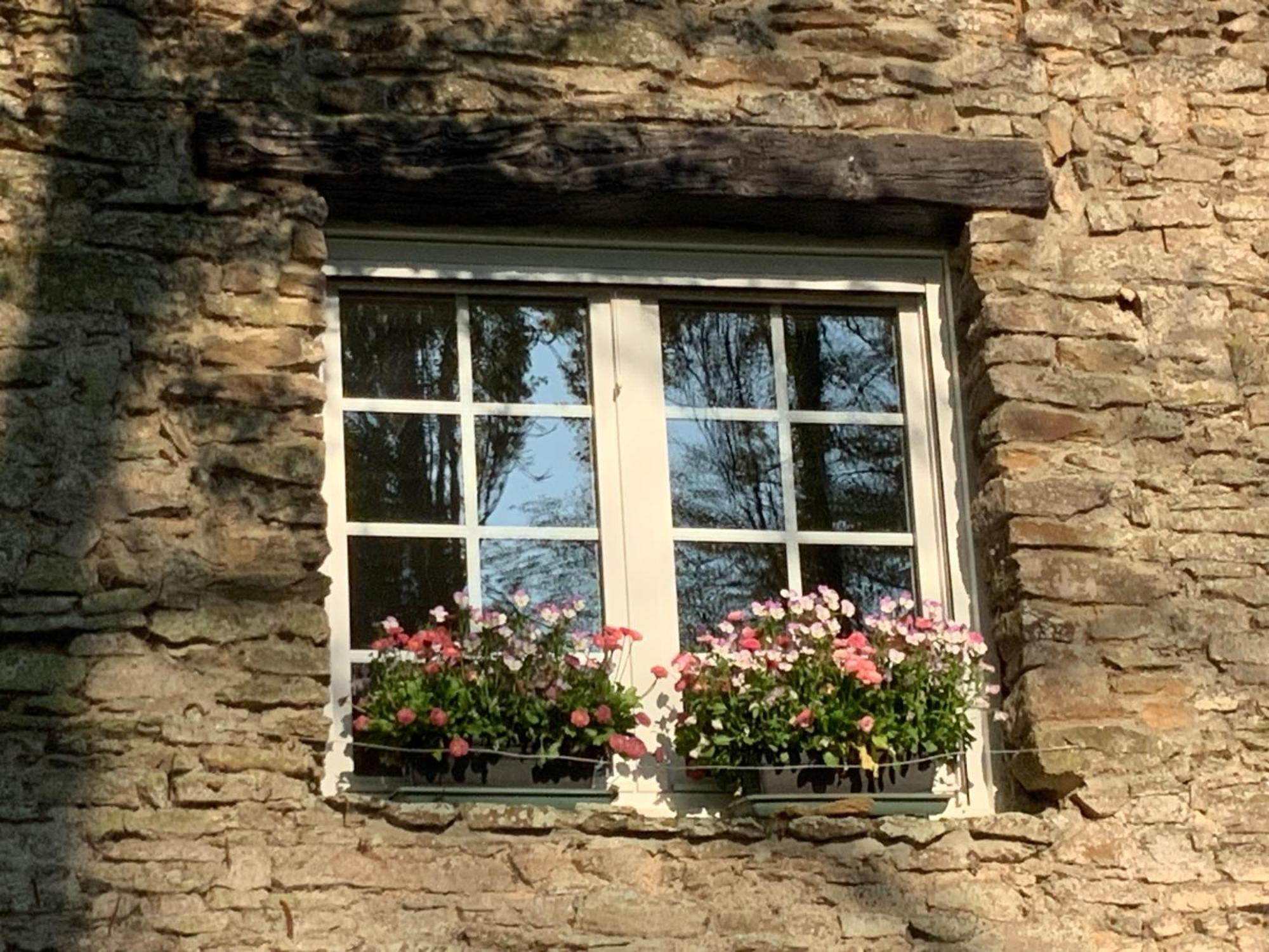 Bed and Breakfast Le Moulin De La Castellerie Moon-sur-Elle Exterior foto