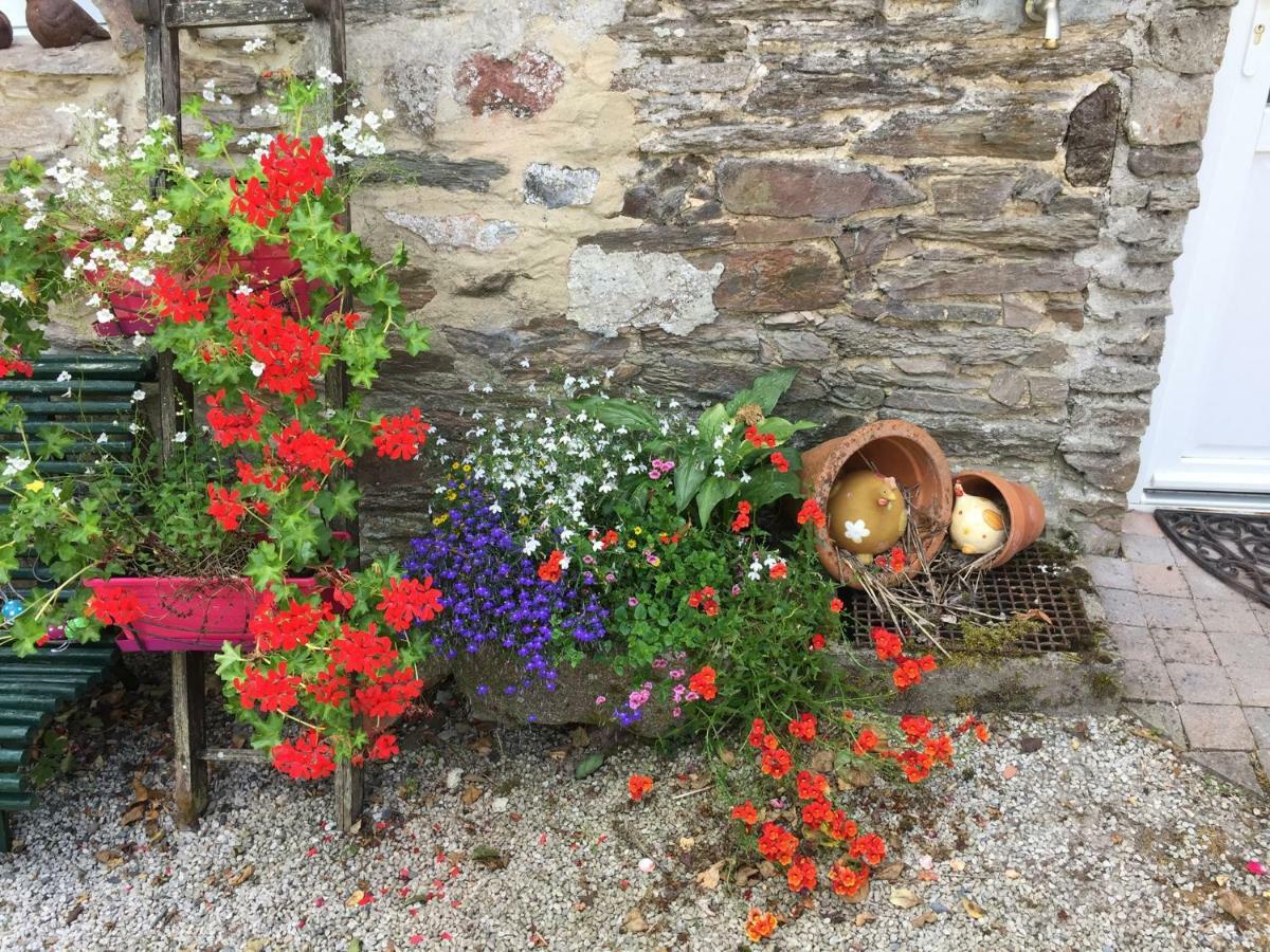 Bed and Breakfast Le Moulin De La Castellerie Moon-sur-Elle Exterior foto