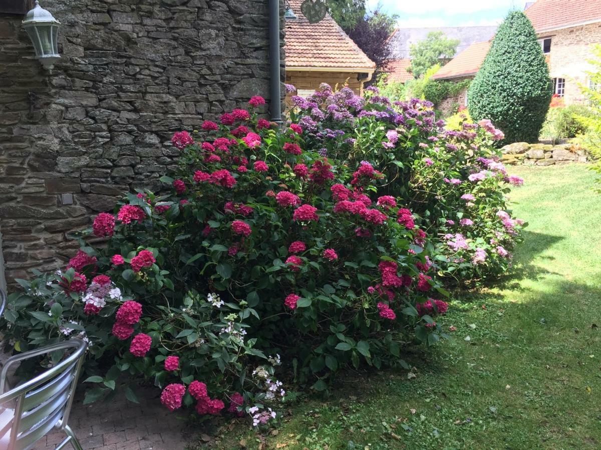 Bed and Breakfast Le Moulin De La Castellerie Moon-sur-Elle Exterior foto